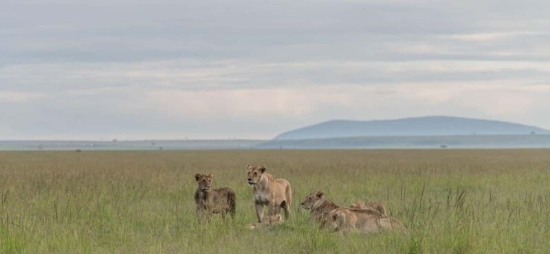 7 Days Highlight Of Kenya Urban & Bush Safari - Exploring Nairobi: City Highlights and Cultural Encounters
