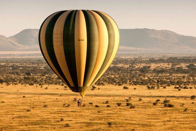 7 Days in Tanzania Northern Circuit Safari - Key Points