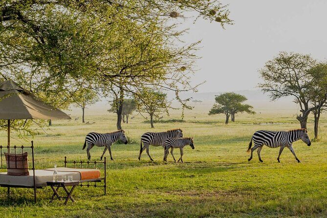 7 Days in Tanzania Northern Circuit Safari - Who Should Consider This Safari?