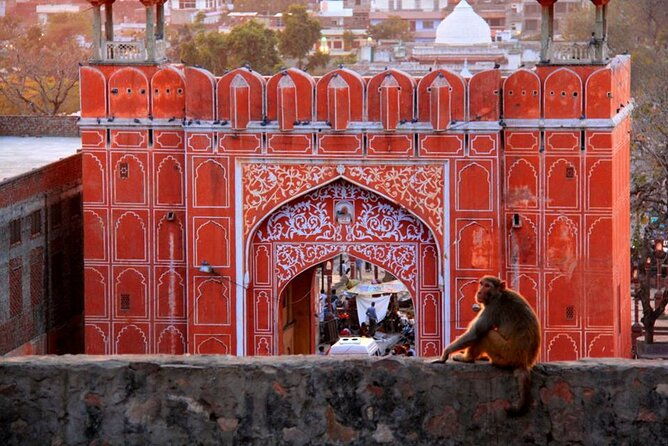 7-days-india-tour-from-new-york-including-visa-and-flight