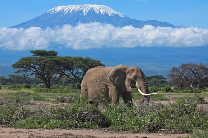 7 Days Into the Wild Wonder : Lodge Safari with Private 4x4 JEEP - First Impressions & Booking