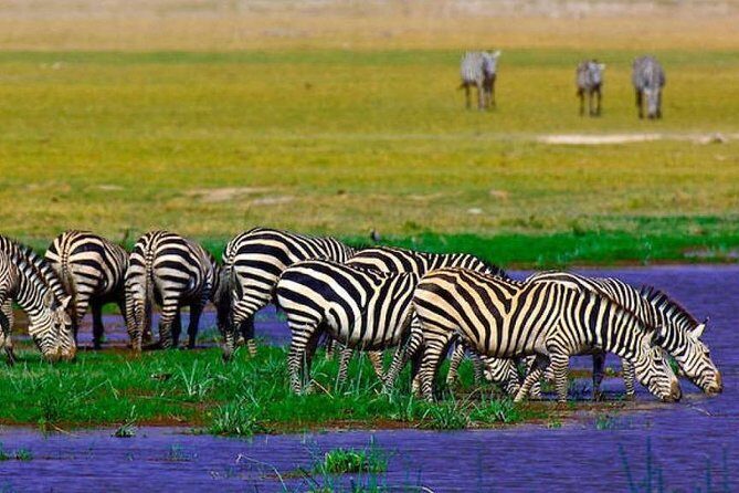 7 Days Into the Wild Wonder : Lodge Safari with Private 4x4 JEEP - Day 4: Lake Nakuru to Naivasha & Optional Hells Gate