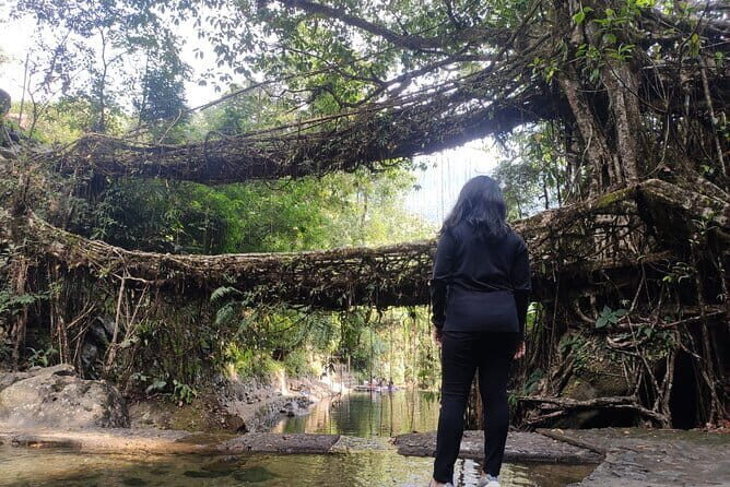 7 days kaziranga meghalaya tour package - Who Should Consider This Tour?