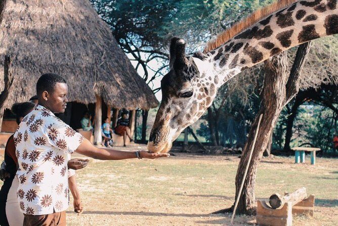 7 Days Kenya Luxury Safaris - Masai Mara NR, Amboseli NP and Lake Nakuru NP - Key Points