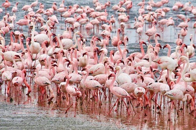7 Days Kenya Tour Budget Safari - Starting Point and Initial Impressions
