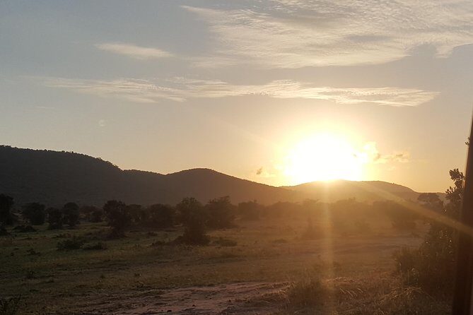 7 Days Kenya Tour Budget Safari - Day 7: Final Explorations in Amboseli