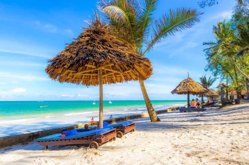 7 Days Kenya Wildlife Safari and Diani Beach Safari - The Safari Experience Explained