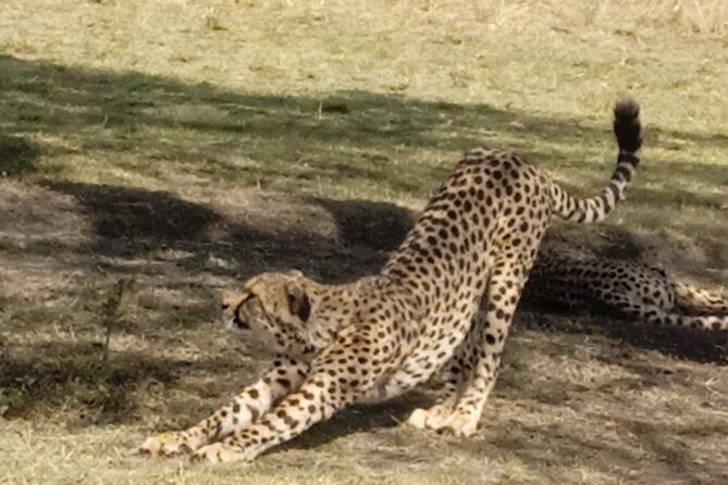 7 Days Kenyan Safaris - Final Thoughts