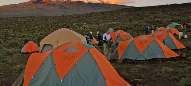 7 Days Kilimanjaro Climb via Lemosho Route - Key Points
