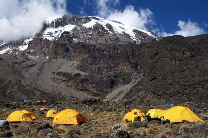 7 Days Kilimanjaro Climb via Lemosho Route - The Mountain Experience: What Makes It Special?