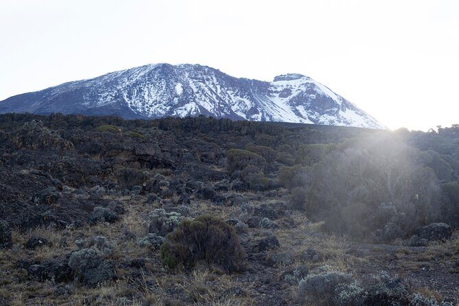 7 Days Kilimanjaro Climbing | Hiking Tour via the Lemosho Route - Scenic Highlights & Authentic Encounters