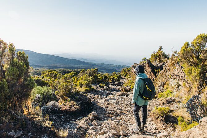 7 Days Kilimanjaro trek via Machame route - The Experience of the Guides and Support Team