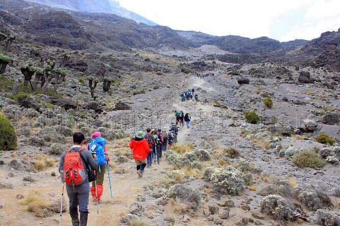 7 Days Kilimanjaro Trekking Machame Route with Professional Guide - Final Thoughts
