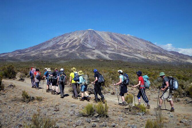 7 Days Kilimanjaro Trekking Machame Route with Professional Guide - FAQs
