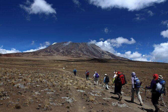 7 Days Kilimanjaro via Machame route affordable price - The Experience on the Ground: Guides, Food, and Logistics