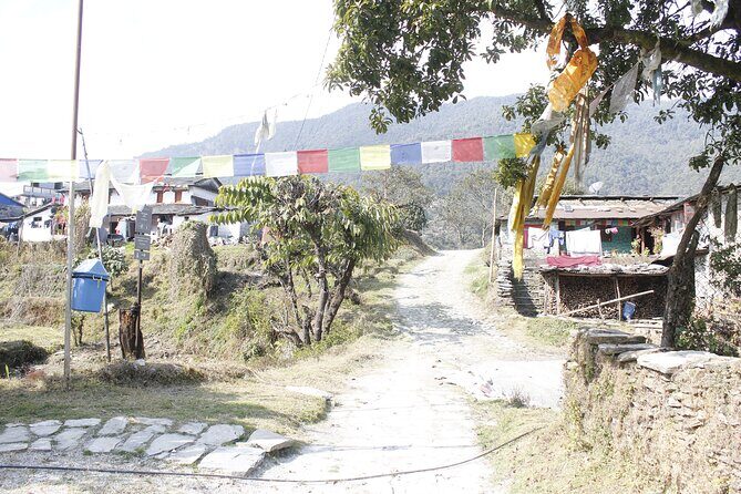 7 Days Langtang Valley Trek from Kathmandu - Pricing and Value