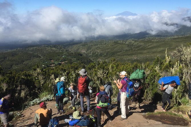 7 Days Lemosho Route - An In-Depth Look at the 7-Day Lemosho Route