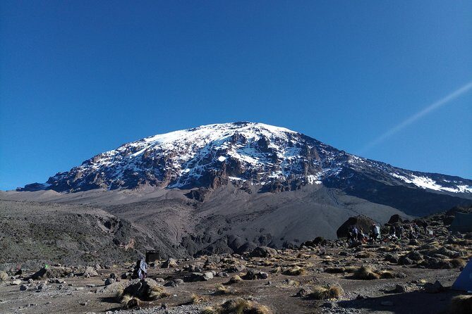 7 days Lemosho route Climbing Mt.Kilimanjaro - What Makes This Tour Stand Out?  