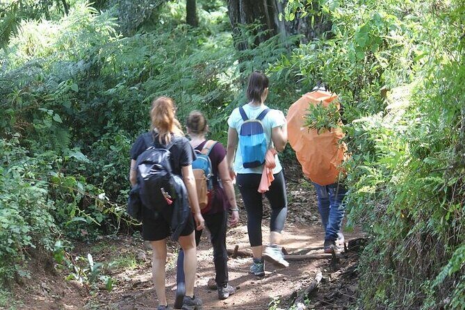 7 Days Lemosho Route Kilimanjaro Climbing | Solely Tours - What Could Be Better