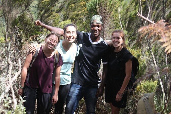 7 Days Lemosho Route Kilimanjaro Climbing | Solely Tours - The Sum Up