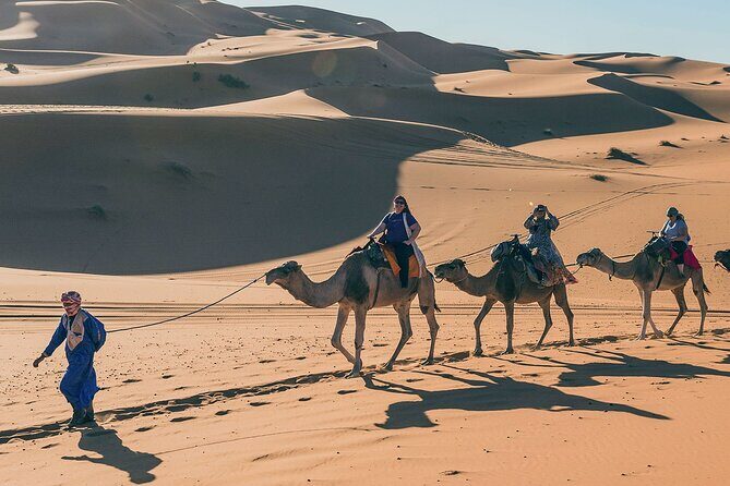 7 Days Luxury Desert Tour From Casablanca to Marrakech via fez -Camel trekking - Final Thoughts