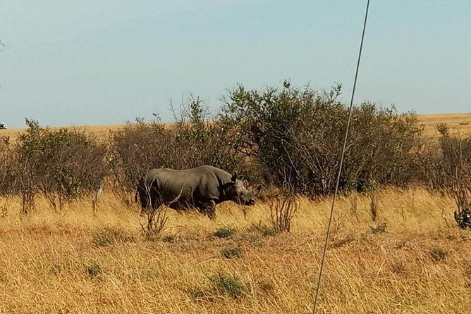 7 Days maasai mara - lake nakuru - lake naivasha- amboseli safari. - FAQ