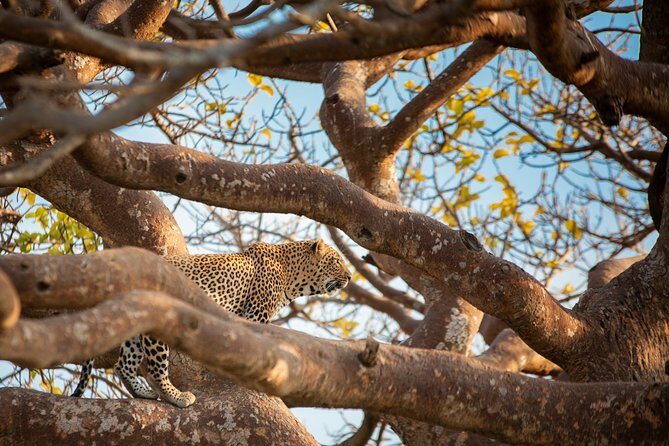 7 Days Maasai Mara, Lakes Nakuru, Naivasha & Amboseli Group Tour - FAQ