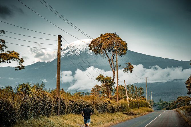 7 Days Machame route - Kilimanjaro - The Value of This Tour  