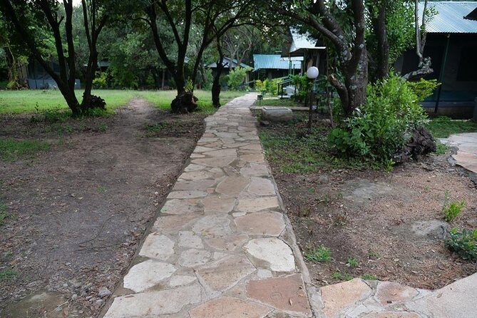 7 Days Mara/L.Naivasha/L.Nakuru/Amboseli - What Sets This Tour Apart
