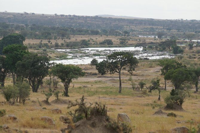 7 Days Migration Crossing in Mara River Northern Serengeti - The Sum Up: Is This Safari for You?