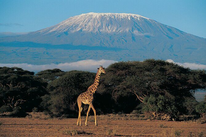 7 Days Mount Kilimanjaro Climbing via Machame Route - Experience the Majesty of Mount Kilimanjaro with Kentau Safaris’ 7-Day Machame Route Tour
