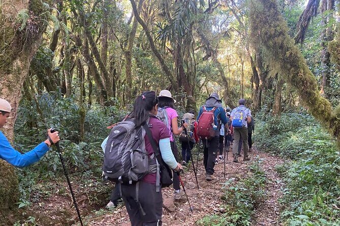 7 Days Mount Kilimanjaro Machame Route - Key Points