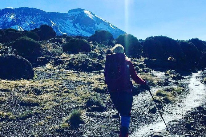 7 Days Mount Kilimanjaro Machame Route - In-Depth Look at the 7-Day Machame Route