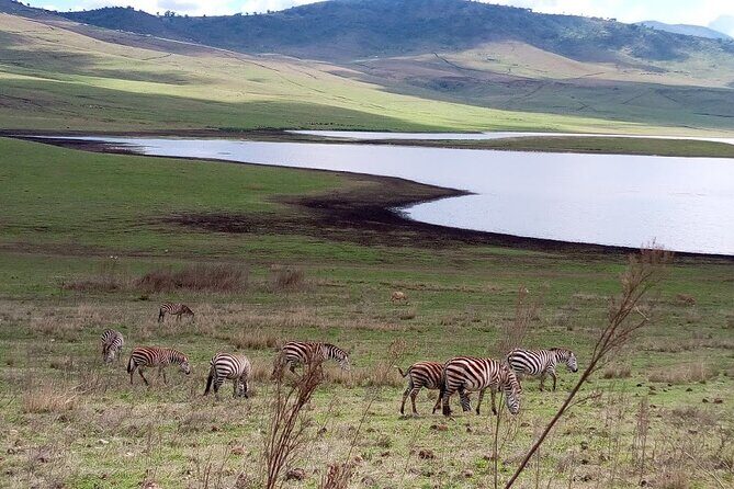 7 days Mt Kilimanjaro,Tarangire NP, Ngorongoro, Serengeti NP, Lake Manyara NP - An Overview of the Itinerary