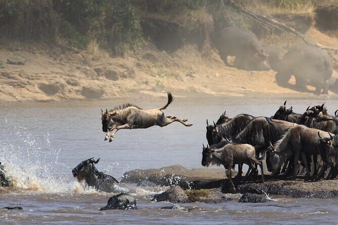 7 Days Northern Luxury Safari - Key Points