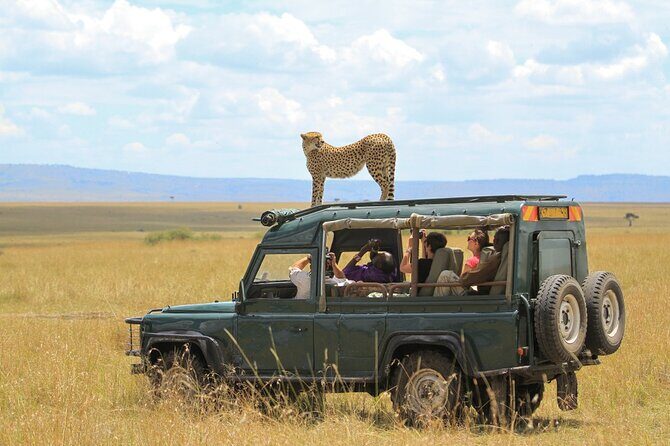 7 Days Northern Luxury Safari - The Value of a Guided, Overland Safari