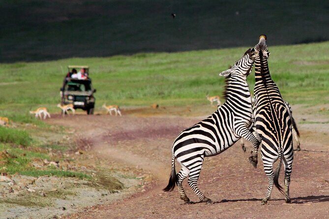 7 Days Northern Luxury Safari - FAQ