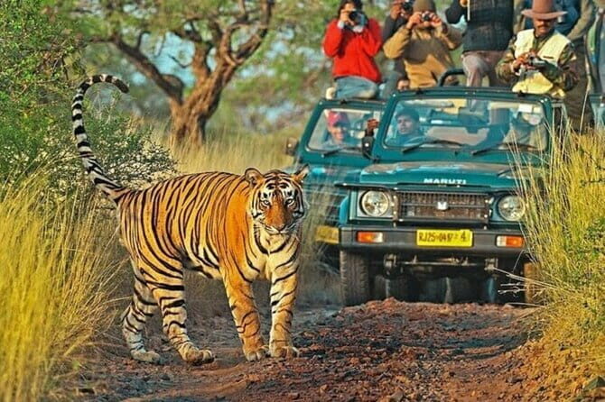 7 Days Private Golden Triangle and Ranthambore Tour - Key Points