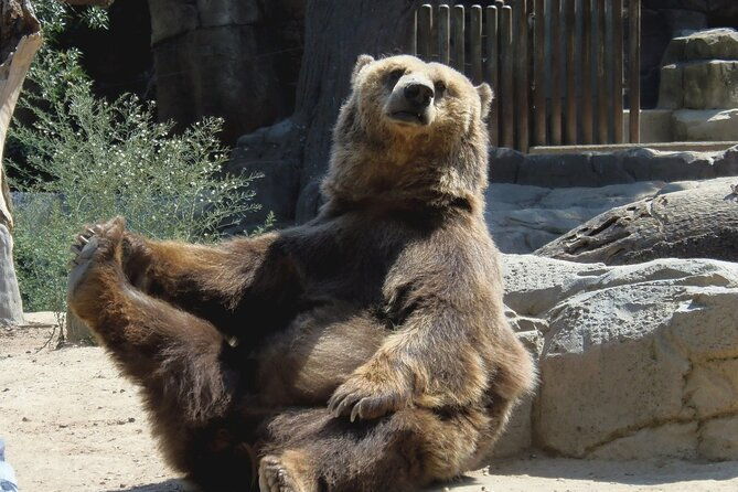 7-days-private-guided-tour-in-romania-from-bucharest