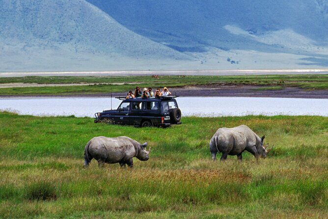 7-Days Private Midrange Safari; Serengeti & Ngorongoro Crater - A Detailed Breakdown of the Itinerary