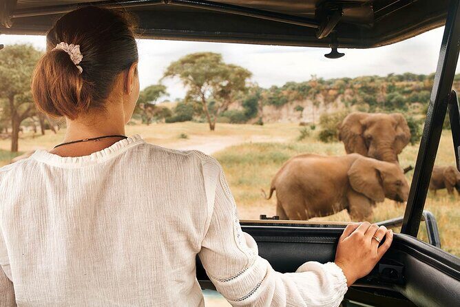 7-Days Private Midrange Safari; Serengeti & Ngorongoro Crater - Final Thoughts