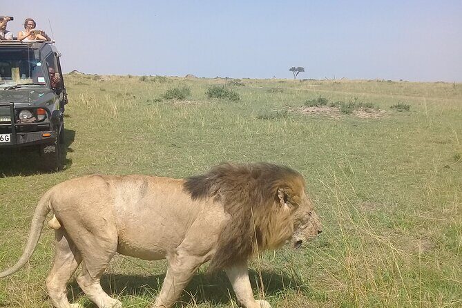 7 Days Private safari to 4 Star lodges using a Jeep - Key Points