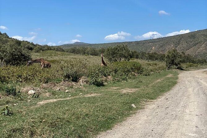 7 Days Private safari to 4 Star lodges using a Jeep - Final Thoughts