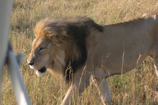 7 Days Private safari to 4 Star lodges using a Jeep - Final Words