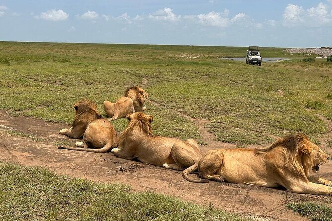 7 Days Private safari Tour in Tanzania - Key Points