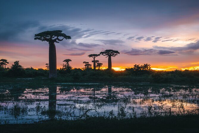 7- Days Private Tour Baobab Safari - Final Thoughts: Who Is This Tour For?