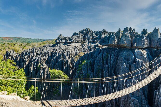 7- Days Private Tour Baobab Safari - FAQ