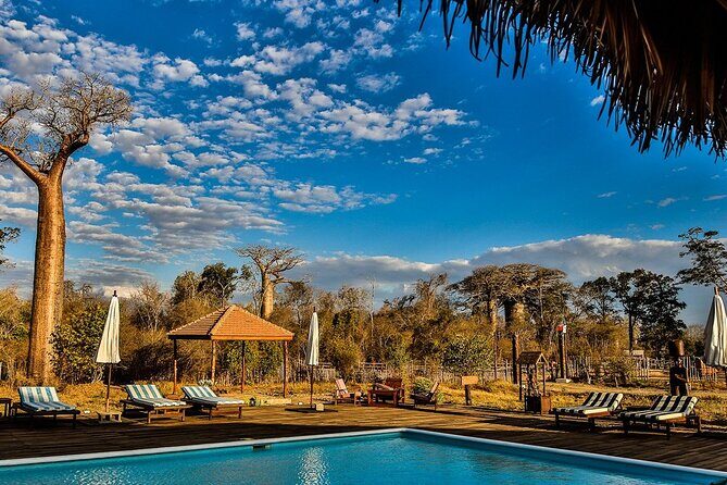7- Days Private Tour Baobab Safari - Final Words