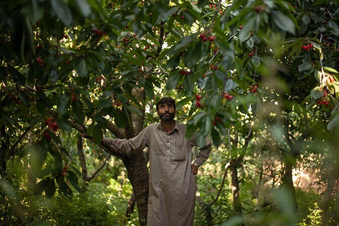 7 Days Private Travel Psychology Journey to Unseen Kashmir - Why This Tour Offers More Than Just Sightseeing