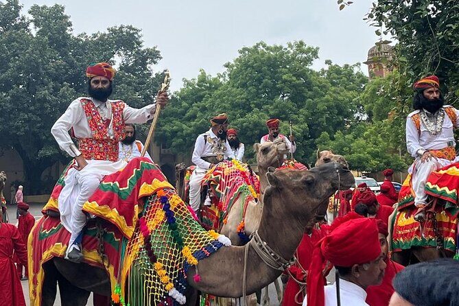 7 Days Ranthambore Tiger Safari and The Golden Triangle Tour - What Does This Tour Mean for You?